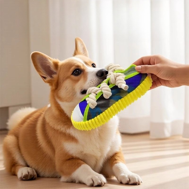 لعبة صرير للكلاب على شكل شبشب  - مراجعة Pet Dental Chew Toy وسعره