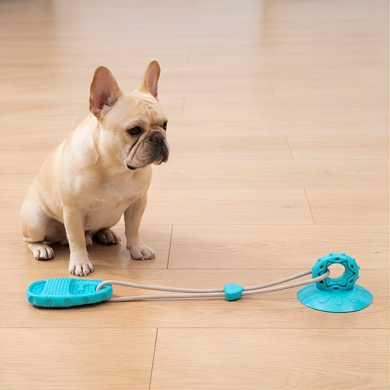 لعبة مضغ للكلاب مع كأس شفط، كر - مراجعة Pet Dental Chew Toy وسعره