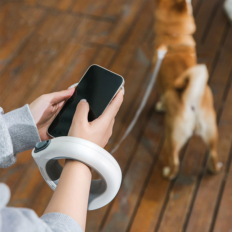حزام قابل للسحب للحيوانات الأل - مراجعة Retractable Dog Leash وسعره