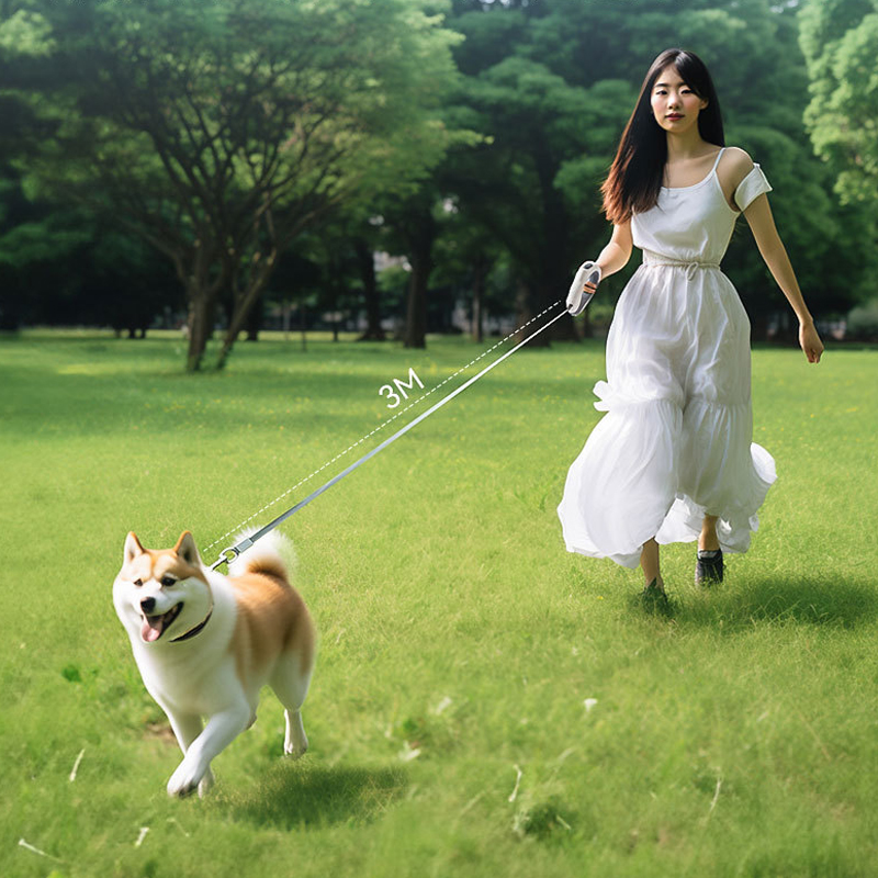 حزام قابل للسحب للحيوانات الأل - مراجعة Retractable Dog Leash وسعره