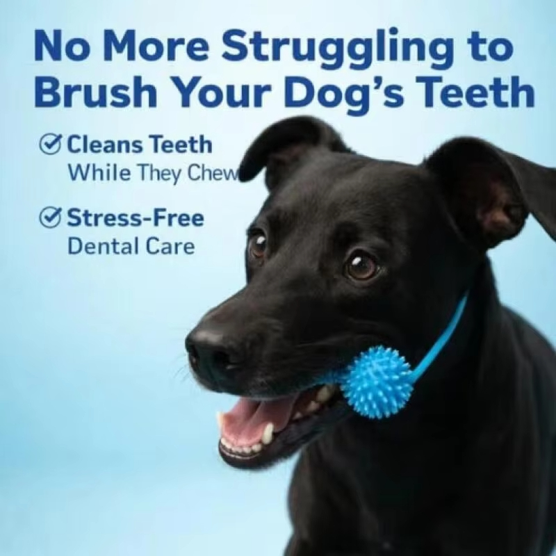 لعبة مضغ للعناية بأسنان الكلاب - مراجعة Pet Dental Chew Toy وسعره