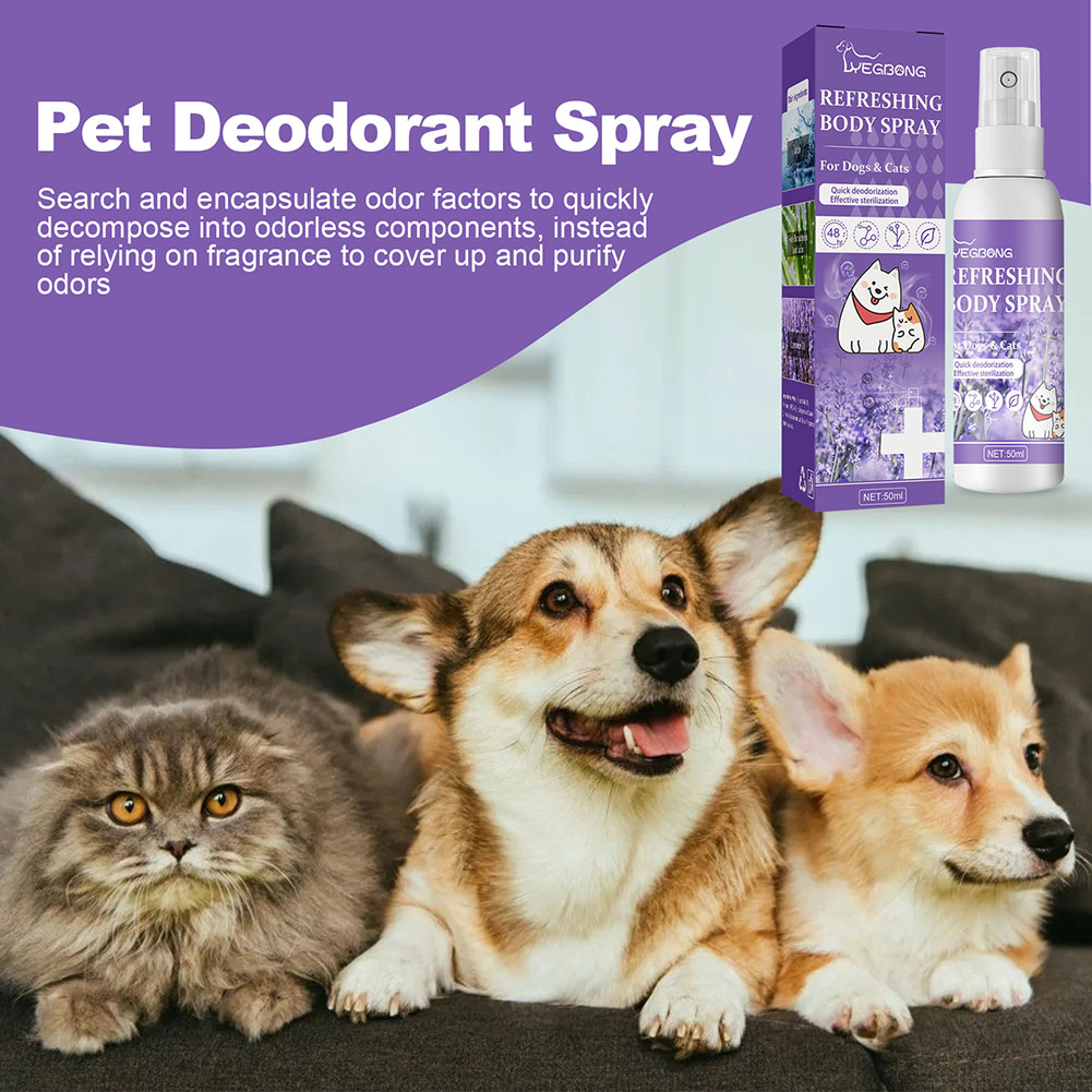 بخاخ مزيل رائحة فضلات الكلاب،  - مراجعة Pet Supplies In Store وسعره